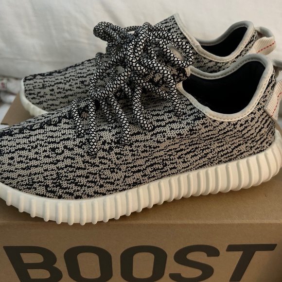 Yeezy Boost 350 Turtle - Picture 1 of 14